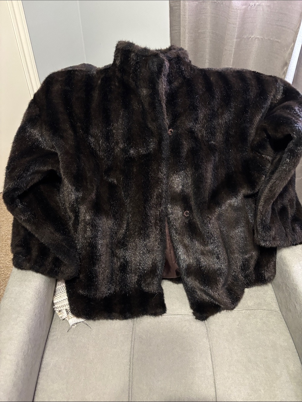 Plush Dark Brown Teddy Jacket with Stand Collar - Women's Coat Mink